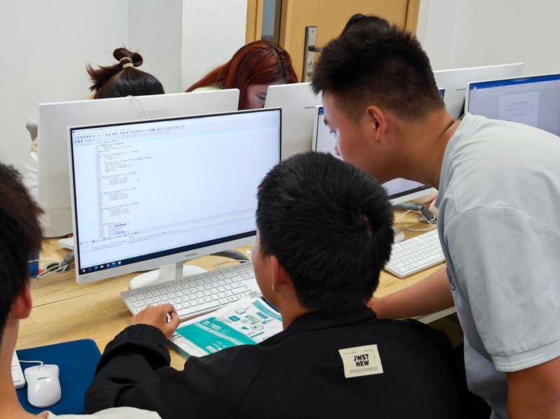 湖北系统工程开发：构建智能生活新蓝图
